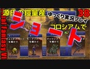 FF6ショート38　スノーマフラー　モーグリ―スーツ　ナッツンスーツ　源氏の鎧　リネームカード　ミラクルシューズ