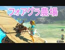 【ブレワイ】依れぇを受けて、ハテノビーチの板でガクガクしてみた【ドリカラ】【ボイスピ実況,ゼルダの伝説ブレスオブザワイルド,BotW,ゼル伝】