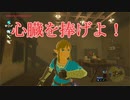 【ブレワイ】依頼を受けて、武器スタンドでポーズをとってみた【ドリカラ】【ボイスピ実況,ゼルダの伝説ブレスオブザワイルド,BotW,ゼル伝】