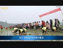 中国の農民を苦しめる新たな政策 「退林還耕」