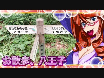 お散歩_八王子⑨