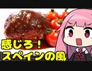 第72位：【スペイン風ハンバーグ】「茜ちゃんが美味いと思うまで」R〒A 43:23 WR【家庭料理祭2023】