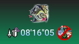 【MHR:S Steam版】特別討究：ライゼクス ランス ソロ 08'16"05