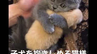 子犬を抱きしめる猫様