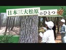 “約１００万本の松”国の特別名勝「虹の松原」を守る　“害虫被害のおそれ”６４１本　佐賀
