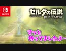 【ゼルダの伝説ブレスオブザワイルド実況】3Dで広大な世界を自由に走り回れる楽しさをおすそ分け！？part87