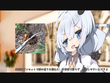 【SCP紹介】　教えて！　ゆかり先輩！　SCP-3693-JP - みろくさま