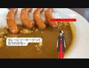 「パリパリお肉が乗ったカレー！!」