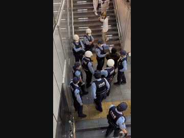 ホモと見る警察にイキり散らすも相手にされないグリ下キッズ