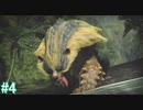 【MHRise】モンスターハンターライズ 実況プレイ part4