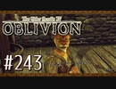 実況 ◇ The Elder Scrolls IV: オブリビオン ◇ 第243幕