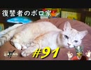 復讐者のボロ家にお邪魔したりカチカチキラキラの敵や封牢の大きい敵と戯れたりします【初見】エルデンリング実況／盗賊王物語【オフライン】#91