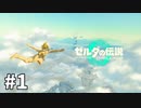 【ゆっくり実況】新作でもリンクは裸。#1【ゼルダの伝説TotK】