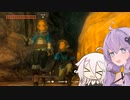 【ゼルダの伝説TotK】ゆかいあおぶざキングダム！#1【ソフトウェアトーク実況】
