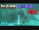 【続編決定記念】のんびりと伝説「ゼルダの伝説～ブレスオブザワイルド～」　＃45