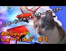 ねこじゃらしゅーてぃんぐ＃１『ローリングガンナー＋オーバーパワー』　【STG-FESTIVAL】前半パート