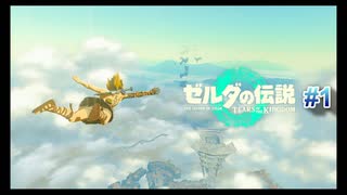 [ゼルダの伝説　TOTK　＃１]　平和になった世界でゼルダとイチャイチャするぞー