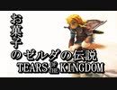 【ゼルダの伝説 ティアーズ オブ ザ キングダム】お菓子で再現してみた