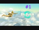 ゼルダの伝説 ティアーズ オブ ザ キングダム #1 オープニング