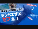 【セブ島】ジンベエザメに絶対会えるって本当ですか？！～ダイビングに行こう！～