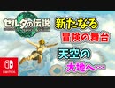 【ゼルダの伝説ティアーズオブザキングダム実況】ハイラルに再び異変が？新たな旅にでます！part2