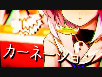 雫色のカーネーション