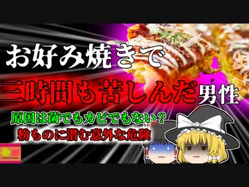【2020年】硬めに作ったお好み焼きで命の危機 細菌でもカビでもない 小麦粉独自の危険性 【ゆっくり解説】