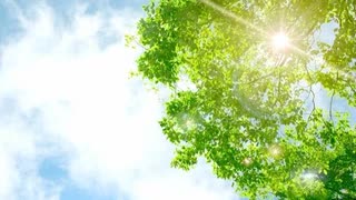 こんにちは♪【昼温和】No32≪勇気の出し方。≫
