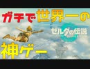 裸・HP縛りで世界最高の神ゲーをやる実況者　Part 1前編【ゼルダの伝説ティアーズオブザキングダム】