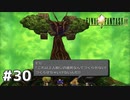 #30 初めてのFFをFF9に捧ぐ
