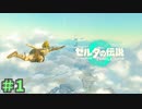 飛び込みの世界ギネス申請しな　「ゼルダの伝説～ティアーズ・オブ・ザ・キングダム」　＃1