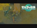 【ゼルダの伝説　ティアーズオブザキングダム】　冒険の記録　♯002　初めての祠