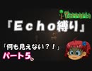 [Terraria]　『Ｅｃｈｏ縛り』パート５　[ゆっくり実況]