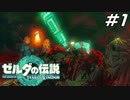 空も大地も自由に走り回る史上最高の神ゲー ゼルダの伝説 ティアーズオブザキングダム Part1【ゲーム実況】
