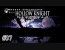 汚れすぎた地下水道【Hollow Knight】#37