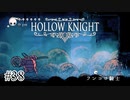 陽気で汚い戦士【Hollow Knight】#38