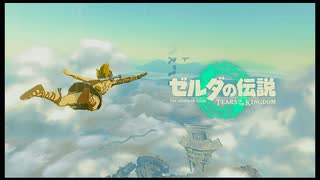 【ゼルダの伝説　ティアーズ オブ ザ キングダム】ティアキン実況Part1