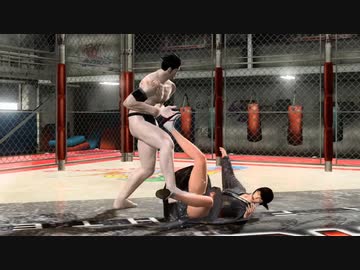 りりしい葵さんを無様にKOしようとしてみたVF5FS