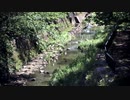 お試し 0427
