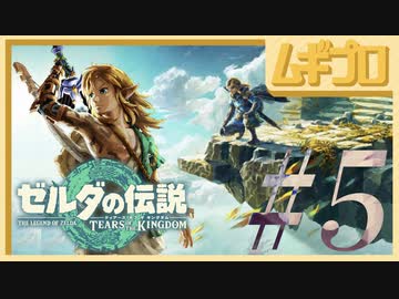 【TotK #5】ゼルダの伝説 ティアーズオブザキングダム（ティアキン）｜The Legend of Zelda: Tears of the Kingdom GamePlay【実況】