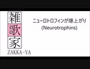 ニューロトロフィンが爆上がり（Neurotrophins）/ 雑歌家 feat. ALLEN(VOCALOID6)