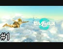 【実況】空の島から始まる新たな冒険【ゼルダの伝説 ティアーズ オブ ザ キングダム】part1