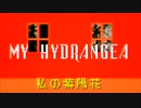 【Lily】My Hydrangea【オリジナル】【字幕版】