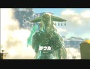 【実況】ゼルダの伝説  ティアーズオブザキングダム  を初見実況プレイ   part2