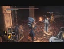 ほのぼの？攻略 EX【ダークソウル３】
