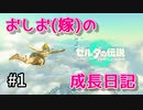 【女性】アクション苦手な嫁の「ゼルダの伝説」成長日記#1【ゼルダの伝説totk】