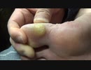 右足たこ：help me Japan　Please subscribe to our channel.