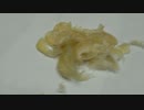 ①足たこ：皮：help me Japan　Please subscribe to our channel.