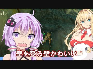 【ゼルダティアキン】壁を登る勇者ゆかり【VOICEROID実況プレイ】5