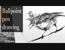 【ボールペン画メイキング】鳥 - その30 -【Ballpoint pen drawing】